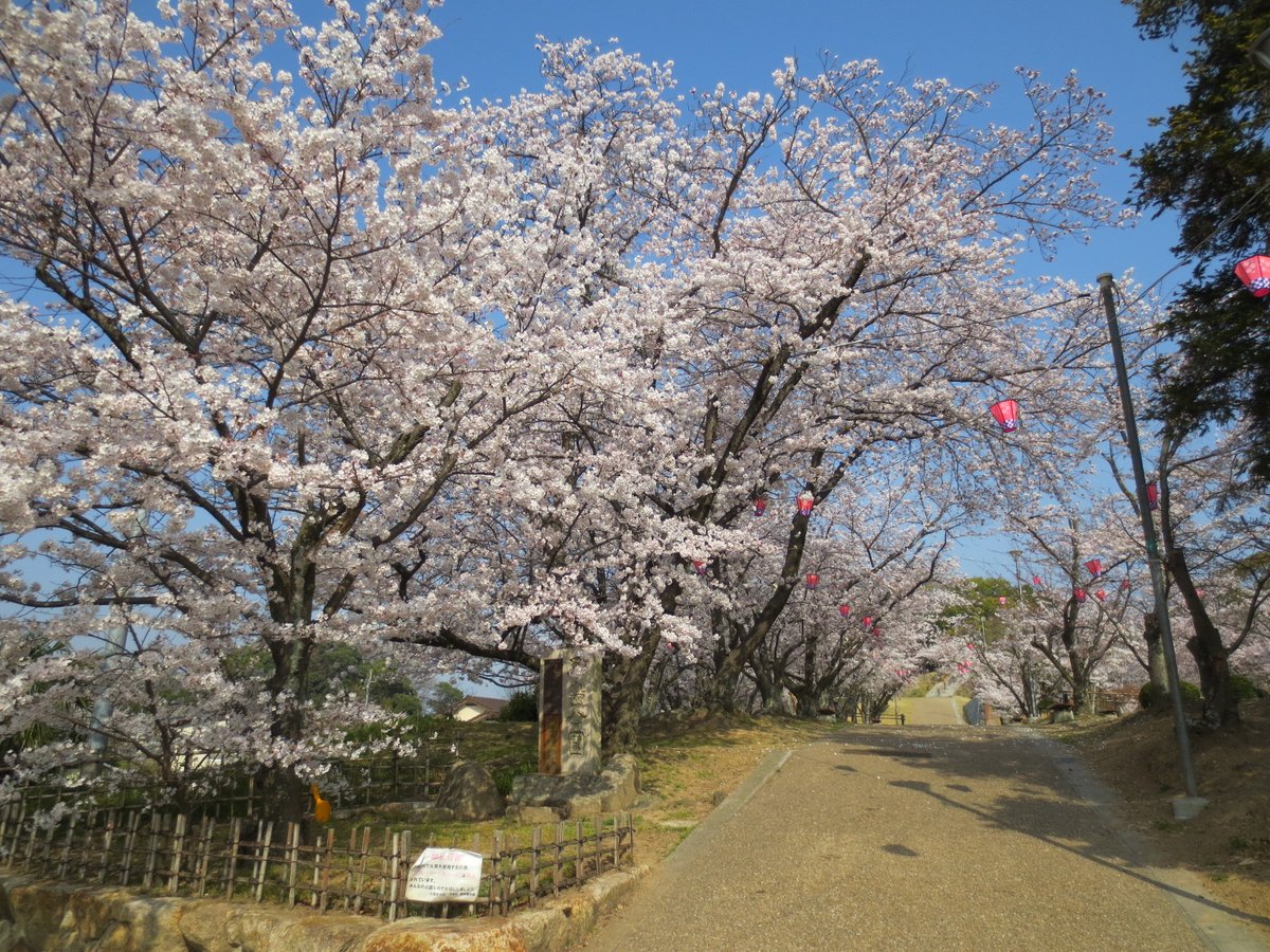 19 4 7 春 ごとフェスタin早島19 早島さくらまつり 早島町 早島公園 子どもとおでかけ 岡山イベント情報 19 4 7 春 ごとフェスタin早島19 早島さくらまつり 早島町 早島公園 子どもとおでかけ 岡山イベント情報