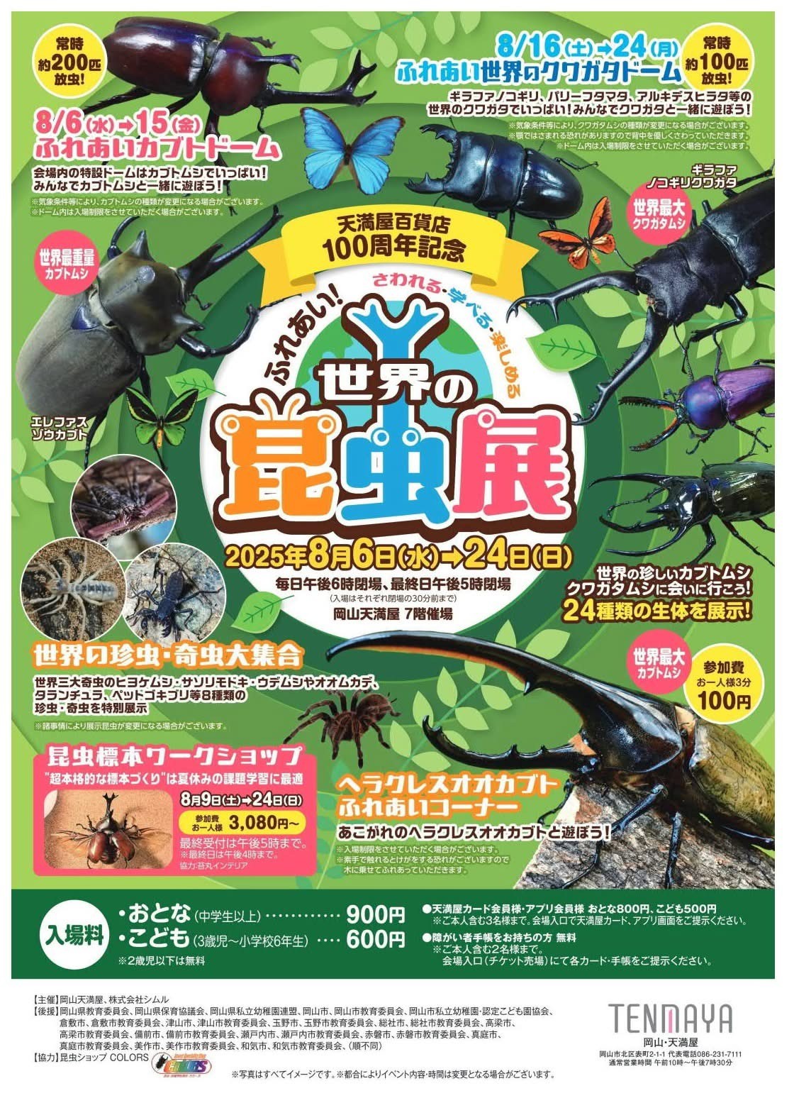 2025.8.6-24【世界の昆虫展】（岡山市北区／岡山天満屋） | 子どもと